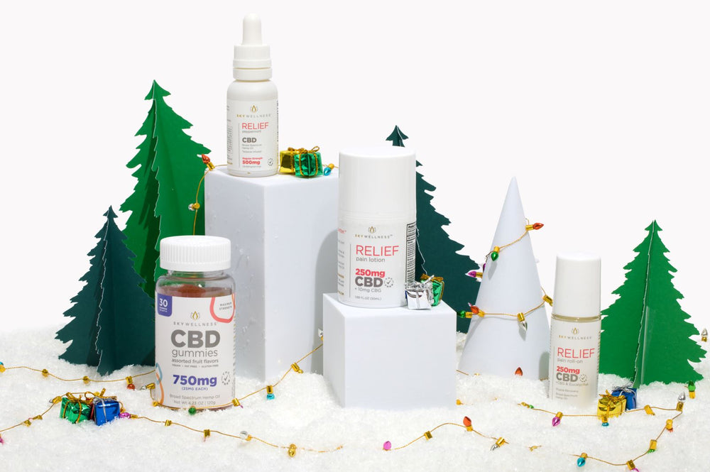 Give The Gift of Wellness This Holiday Season